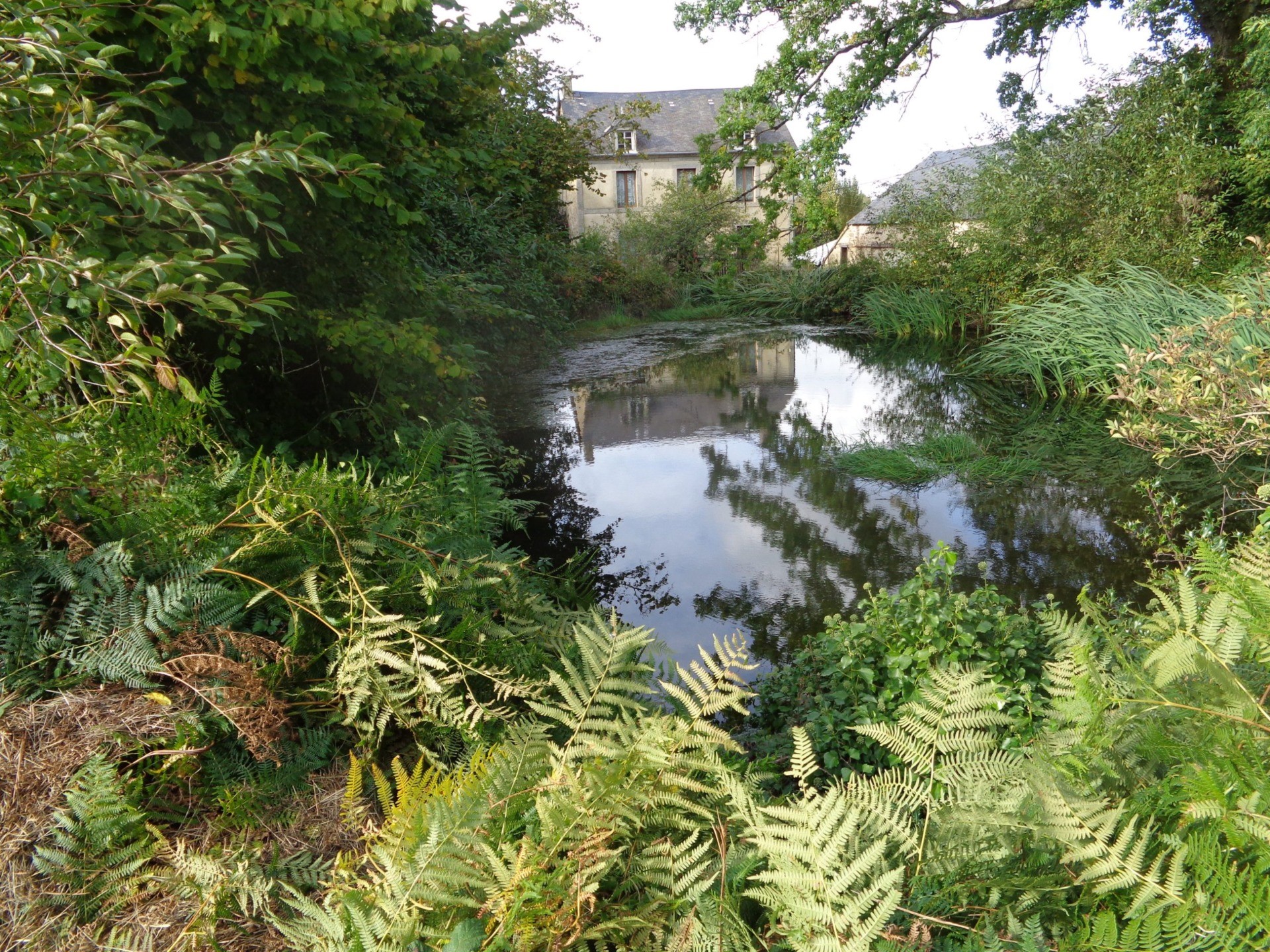 Across the 450m sq pond