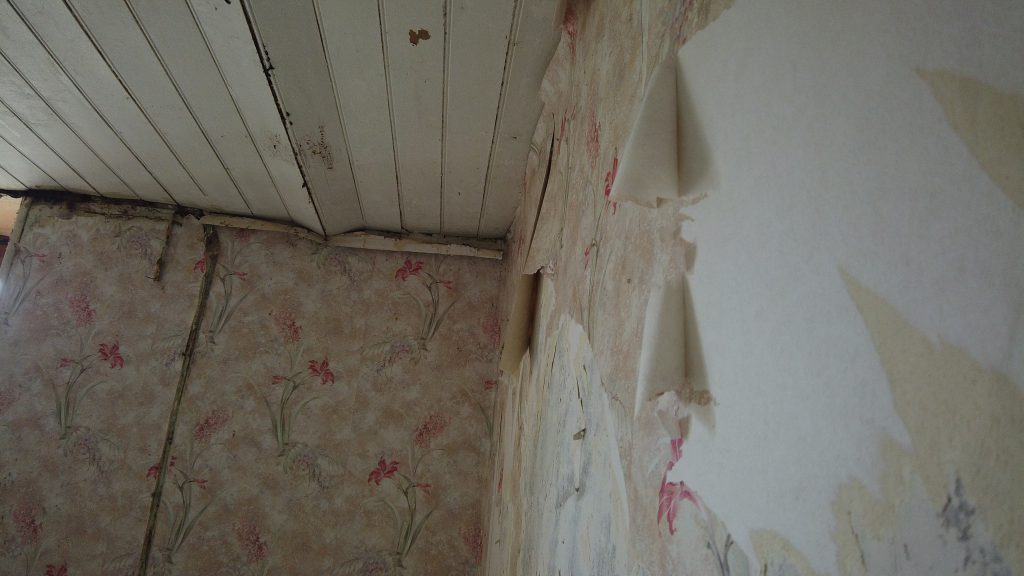 Peeling Wallpaper