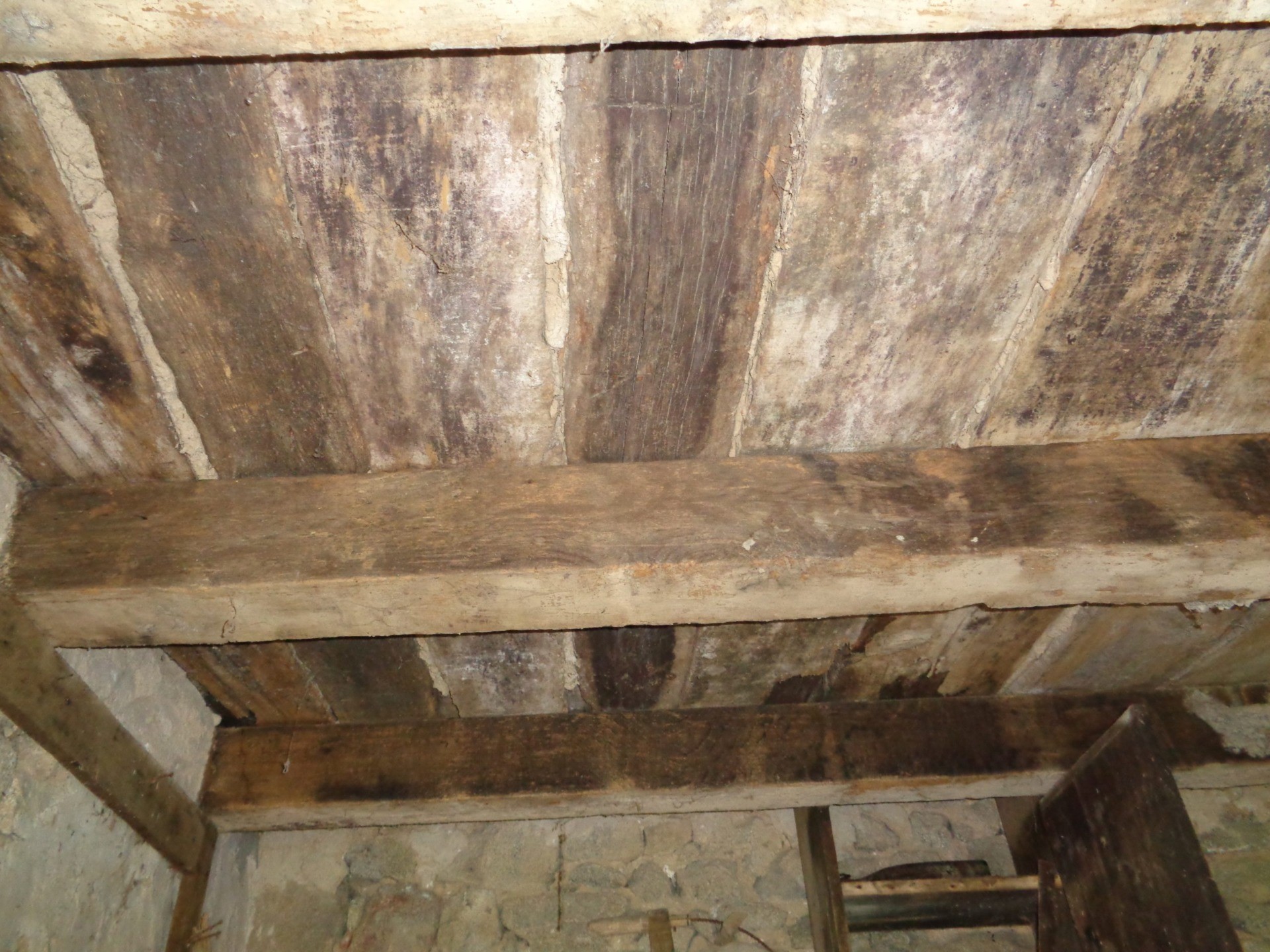 Beams Full of Woodworm