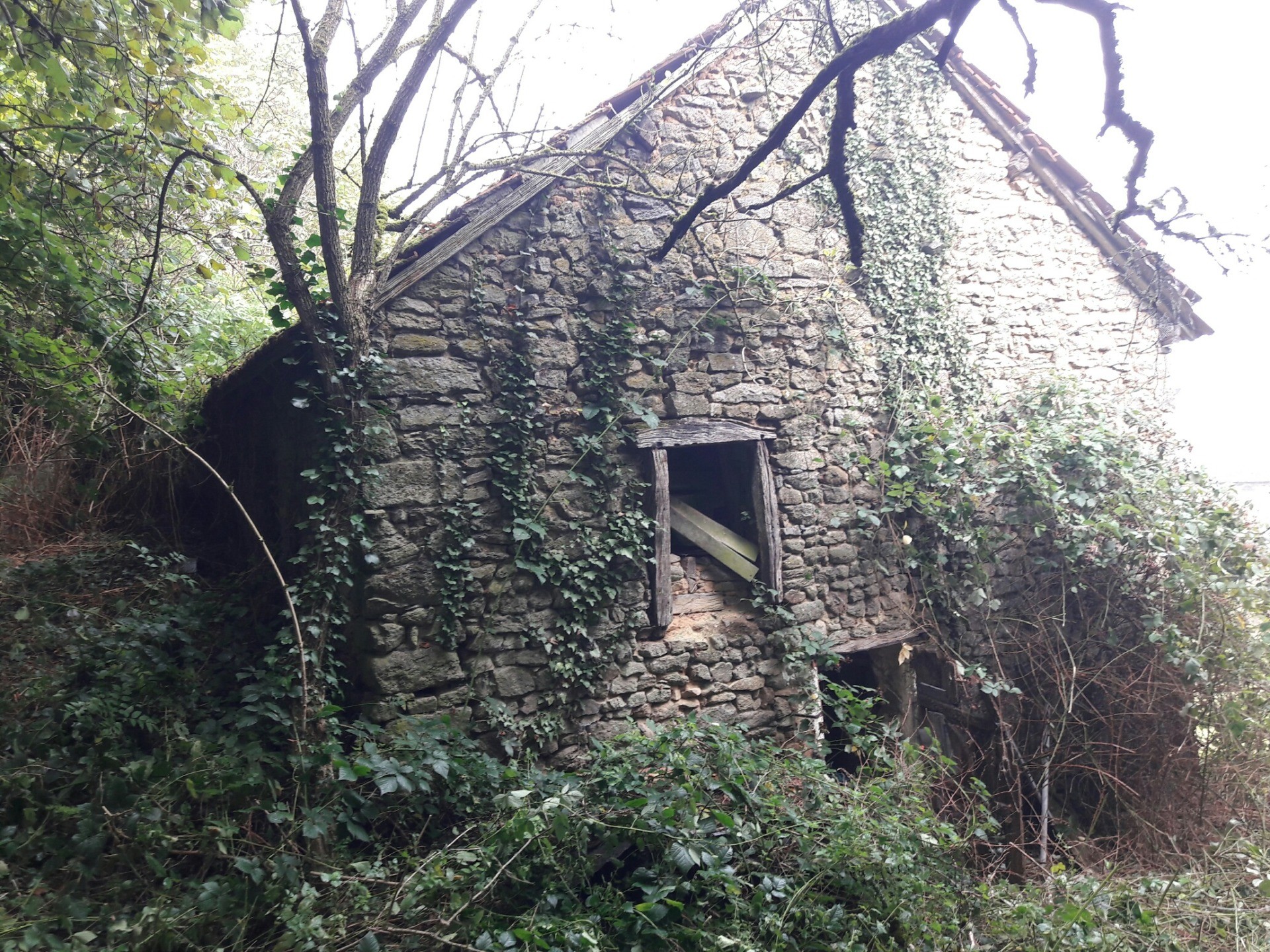 Abandoned French Barn