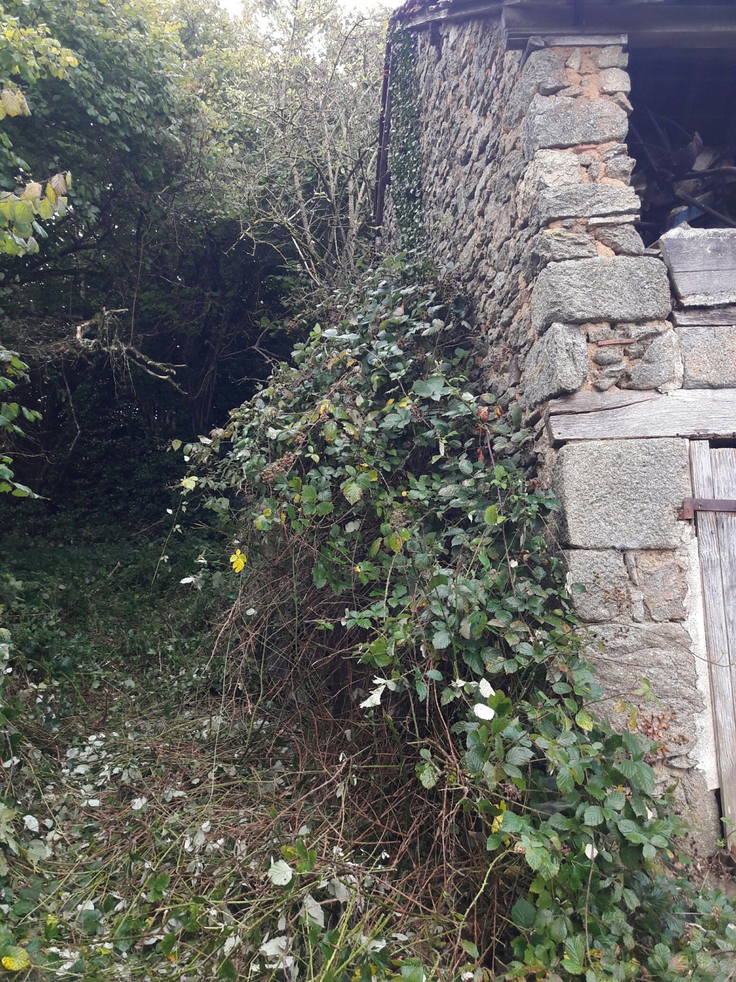 Abandoned French Barn