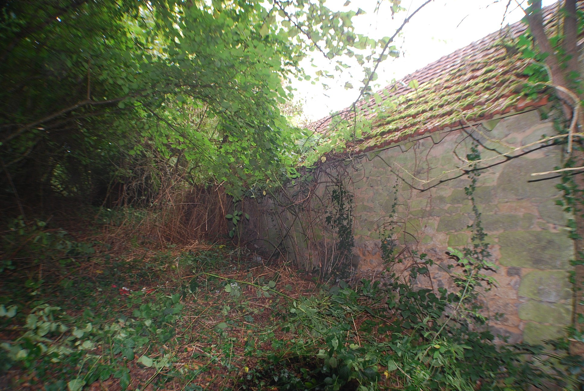 Abandoned French Barn