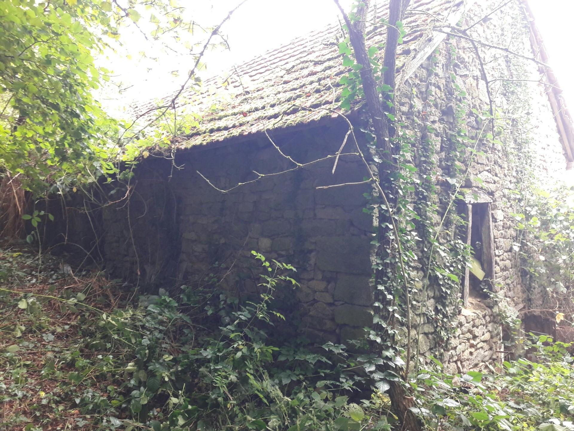 Abandoned French Barn