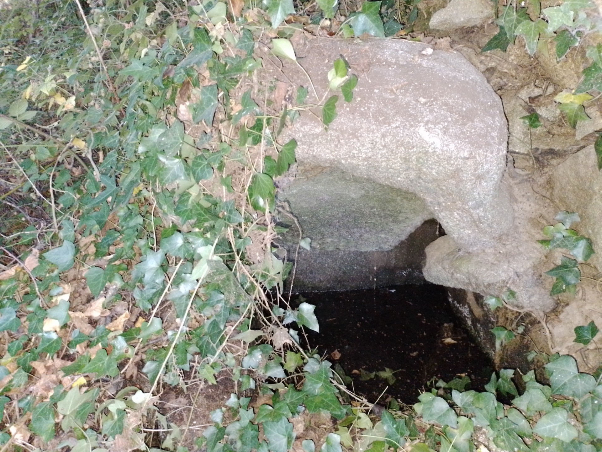 We’ve found an ancient well