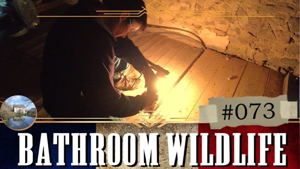 Bathroom Ceiling Wildlife Makeover